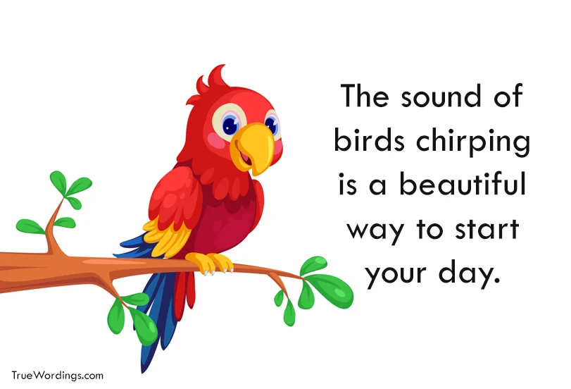 birds-chirping-quotes