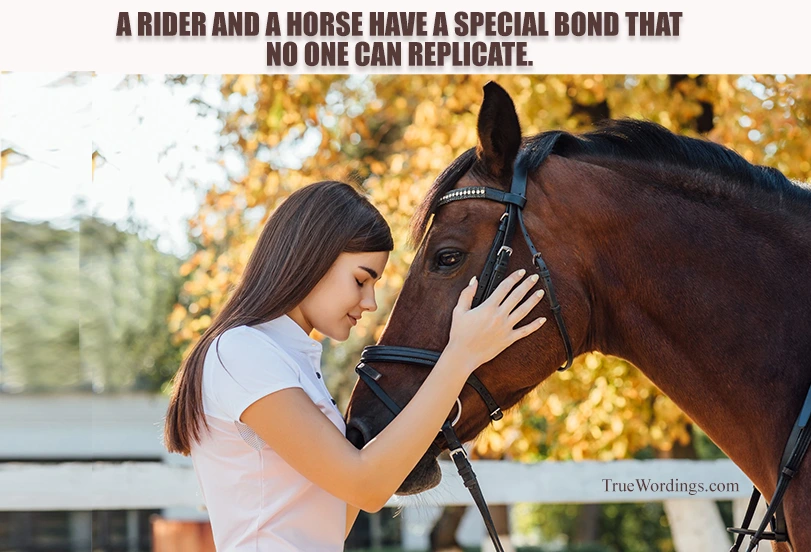 quotes-about-bonding-between-rider-and-horse
